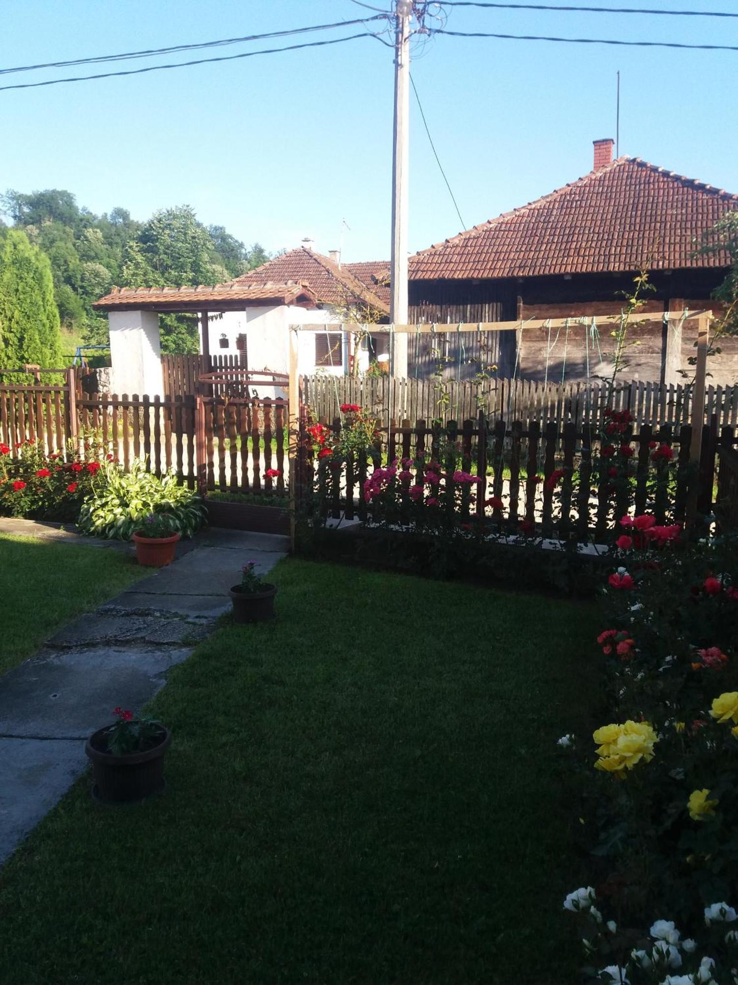 Guesthouse Tadic Guča Dış mekan fotoğraf